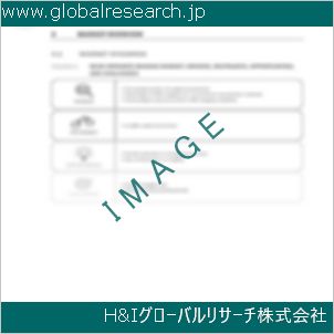 グローバルリサーチ調査資料のイメージ